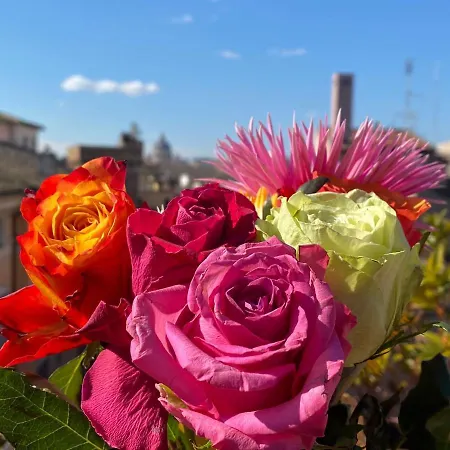 Stelletta 1a Appartamento